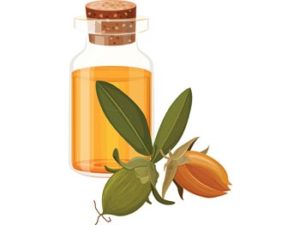 jojoba oil